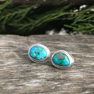 Sonoran Gold Turquoise Studs